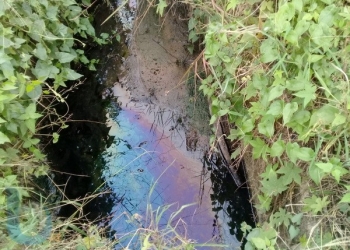 DLH Masih Tunggu Hasil Tim di Lapangan