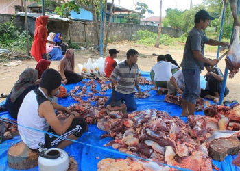 Salurkan 1.500 Paket Daging Kurban