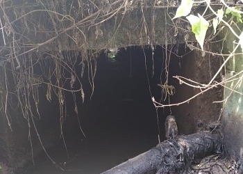 DLH Klarifikasi Kesalahan 