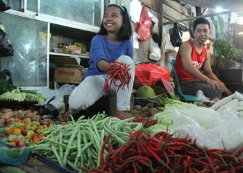 Harga Cabai Turun Drastis 