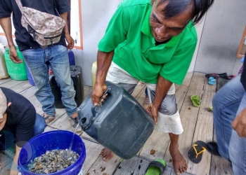 Kemarau, Warga Pesisir Krisis Air Bersih