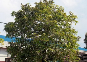 Bawaslu Sisir APK Terlarang