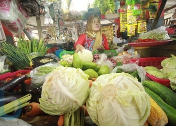 Harga Sayuran Belum Stabil