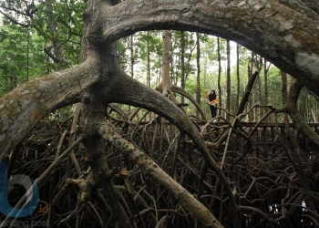 Objek Wisata Bontang