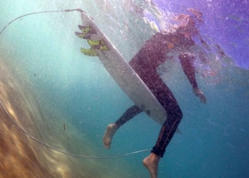 Wisatawan Tewas Diserang Hiu