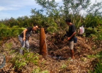 Mortir Berdaya Ledak Kecil