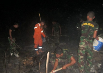 Lahan Belakang Rudal Terbakar, Dandim Sampai Turun Tangan