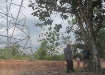 Menara Listrik Dibangun, Patok Tanah Warga Hilang, Pohon Rusak