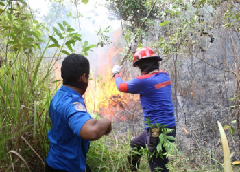 Sampah Dibakar, Lahan Seberang Pemakaman Tator Membara