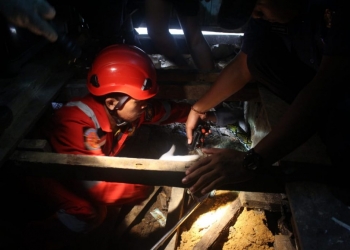 BIKIN GEGER!! Tiga Ular Muncul Selama Dua Hari Beruntun