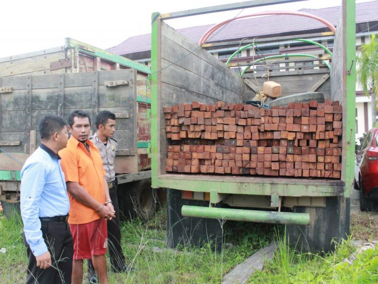 TARGET OPERASI: Ulin yang hendak dibawa Robi ke Balikpapan, saat ini diamankan di halaman belakang Mapolres PPU. RIKIP AGUSTANI/KALTIM POST