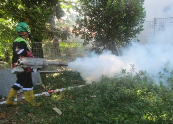 Fogging menjadi upaya penanggulangan DBD dengan cara membunuh nyamuk aedes aegypty dewasa. (Foto: Lukman/BontangPost.id)