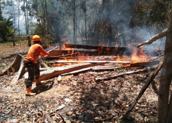 Waspada Cuaca Ekstrem, Api Cepat Menyebar, Warga Dilarang Bakar Sampah