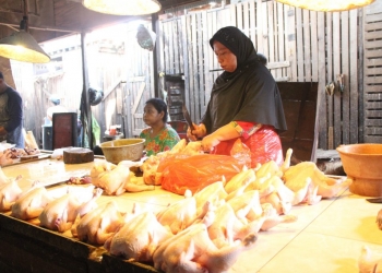 Pedagang Ayam Kompak Turunkan Harga