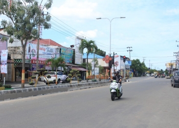 Struktur Tanah Tipis, Median Jalan Ditinggikan