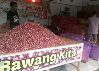 Harga Bawang Putih Meroket, Tembus Rp 100 Ribu Perkilogram