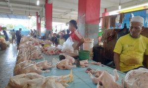 Salah satu pedagang ayam potong tengah menjajakan dagangannya. (Zaenul/Bontangpost.id)