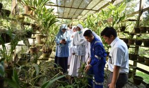 Siswa-siswi SMA IT Yabis bersama Guru Biologi sedang melihat langsung budidaya tanaman anggrek yang ada di Nursery Badak LNG. (Corporate Communication Badak LNG)