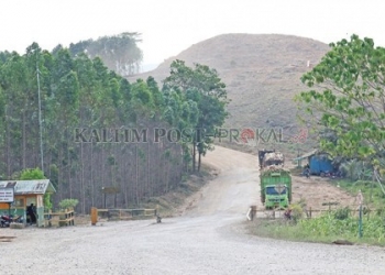Lokasi Istana Makin Kuat di Daerah Sepaku