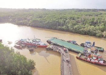 Bangun IKN, Keberadaan Bakau Terancam, Banjir Mengintai