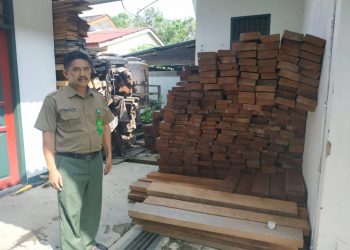 Arif Suyono memperlihatkan hasil tangkapan illegal logging yang berhasil diamankan Polhut selama 2019. (Zaenul/Bontangpost.id)