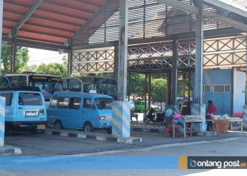 Nasib Sopir Angkot di Tengah Pandemi