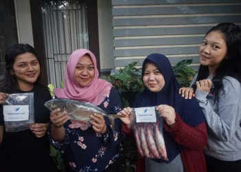 Antarikan.com, Layanan Jual Beli Ikan Daring Buatan Anak Samarinda