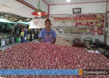 Harga Bawang Merah Meroket, Kini Tembus Rp 50 Ribu Per Kilogram