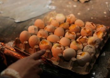 Jual Telur Ayam Infertil, Izin Usaha Terancam Dicabut
