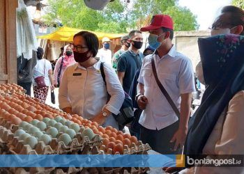 Survei Telur Infertil, DKP3: Bontang Masih Aman