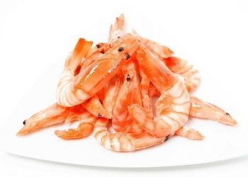 Ciri-ciri Alergi Udang dan Cara Menghindari Kambuh