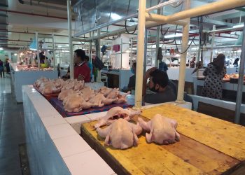 Belasan Lapak Ayam di Pasar Tamrin Masih Kosong