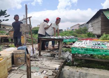 Pasar Unggas Dinilai Bukan Solusi