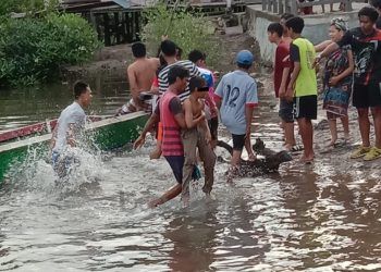 Pelajar SMP Diterkam Buaya di Perairan Kampung Mandar