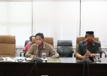 Komisi III Minta Dinas Perkimtan Awasi Pohon yang Rawan Tumbang