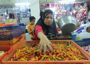 Harga Cabai Belum Stabil