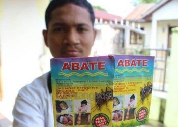 Serbuk Abate Gratis Bisa Didapatkan di Puskesmas