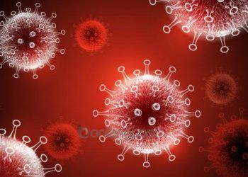 10 Kabupaten/Kota di Kaltim Masuk Zona Merah Penularan Covid-19, Ini Kendala Satgas