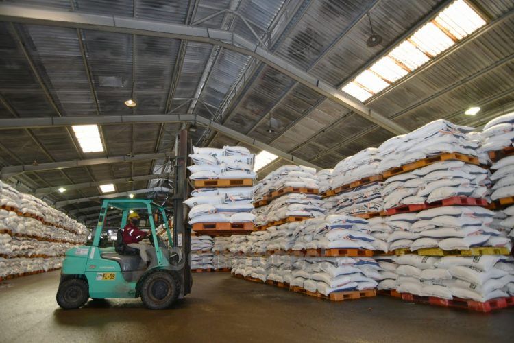 Optimis hadapi musim tanam, Pupuk Indonesia siapkan 1,25 juta stok pupuk subsidi. (Ist)