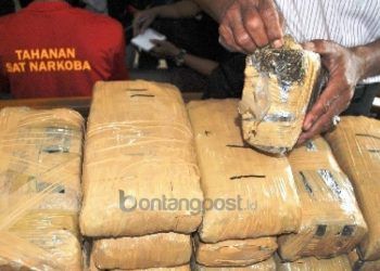 Tren Baru Penyelendupan Narkoba Lewat Jasa Ekspedisi