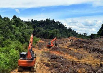 Izin Belum Lengkap, Pembukaan Lahan Pabrik Semen Sudah Berjalan