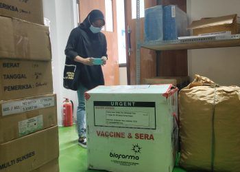 3.840 Vaksin Covid-19 Tiba, Nakes Prioritas, Influencer Kebagian