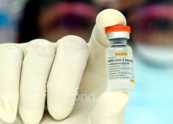 BPOM Izinkan Vaksin Coronavac Disuntikkan ke Lansia