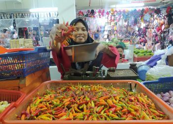 Harga Meroket, Pasokan Cabai Bergantung dari Luar Daerah