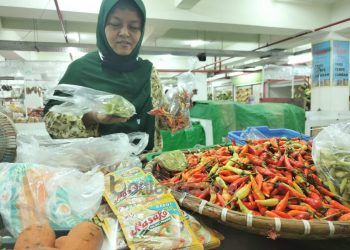 Harga Cabai Rawit Masih Tinggi