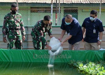Pupuk Kaltim Bantu 4.000 Bibit Lele untuk Pemberdayaan Anggota Den Arhanud 002 Bontang