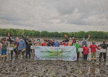 Program Server Mang Budi Pupuk Kaltim Target Tanam 25 Ribu Bibit Mangrove Selama 2021