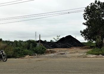 Izin Belum Rampung, Batu Bara Mulai Ditampung