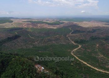 Lahan Kritis Kepung Ibu Kota Negara Baru