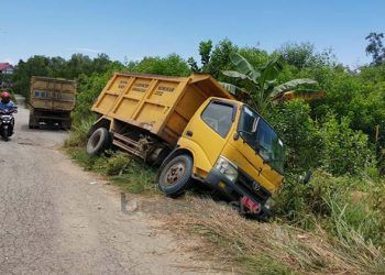 Sopir Truk Tabrak Mahasiswi, Korban Tewas dan Dibuang di Kebun Singkong